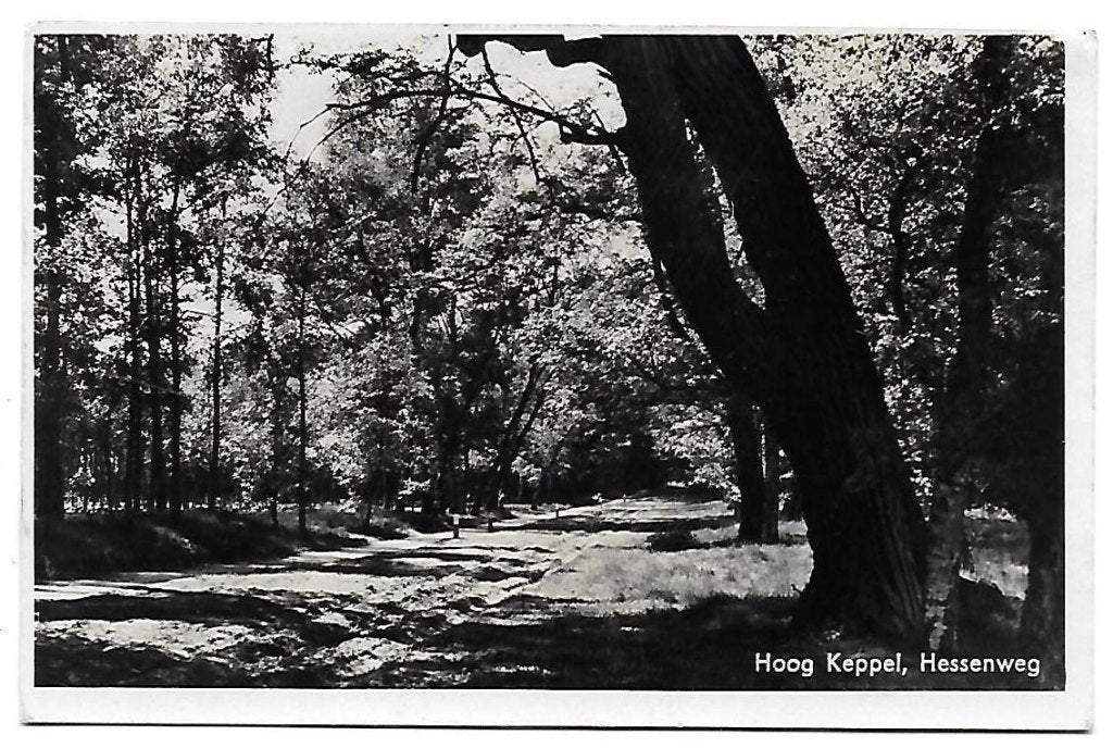 Hoog Keppel Hessenweg Oude Gelopen Ansichtkaart ( B1505 ), Ophalen of Verzenden, Voor 1920, Gelopen, Gelderland