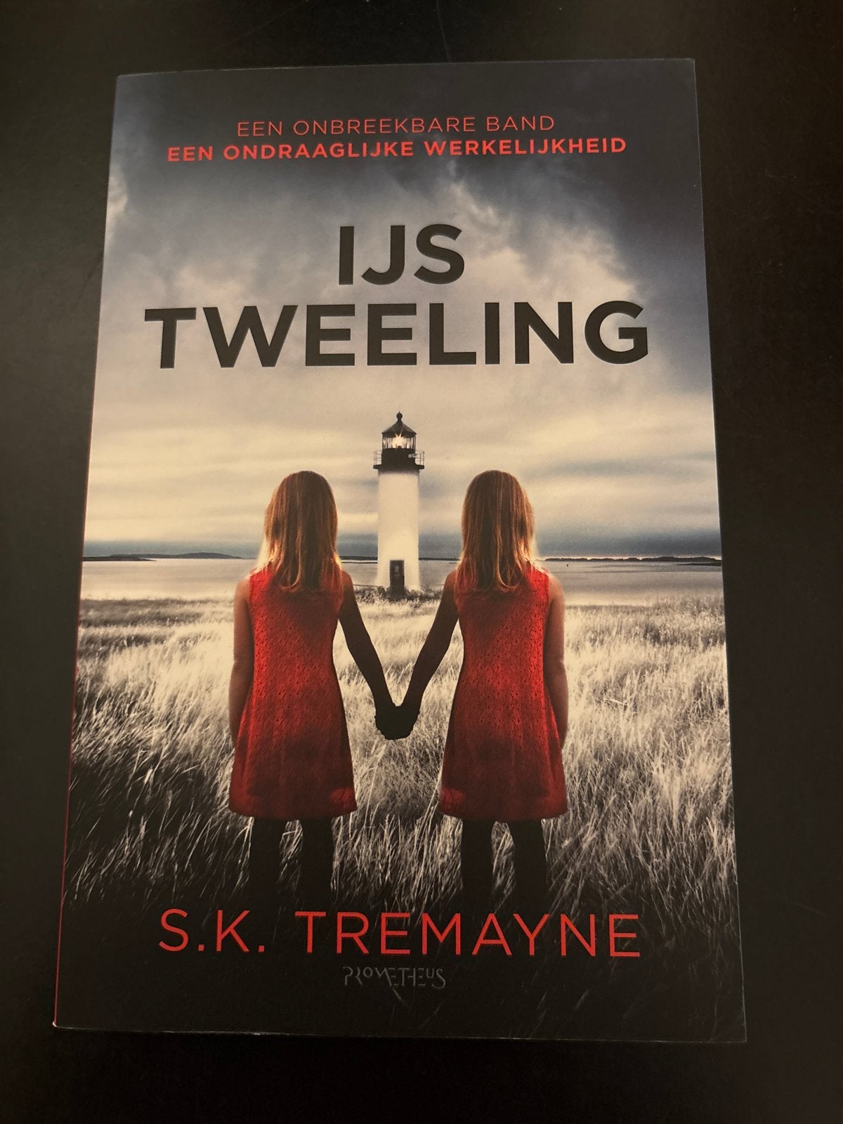 IJs Tweeling - S.K. Tremayne (Thriller), Boeken, Ophalen of Verzenden, Gelezen, Europa overig