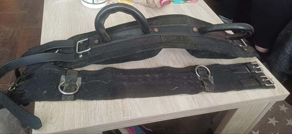 Voltige singel, Dieren en Toebehoren, Ophalen of Verzenden, Zo goed als nieuw, Dressuur