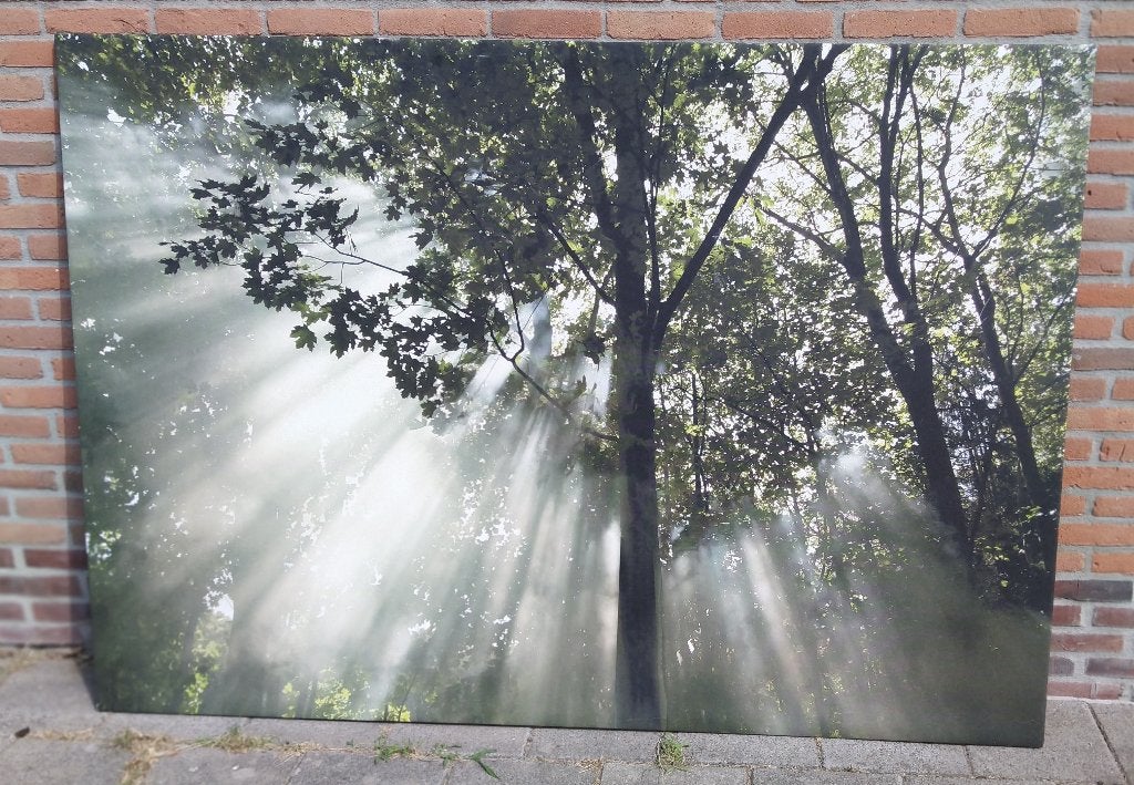 mooie, grote wandfoto, Ophalen, Zo goed als nieuw, 125 cm of meer, Foto of Poster