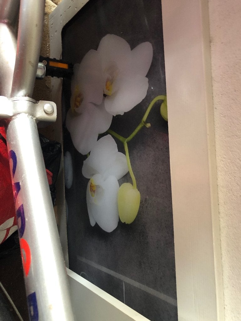 Glasplaat bloem, Ophalen, Nieuw, Minder dan 50 cm, Schilderij