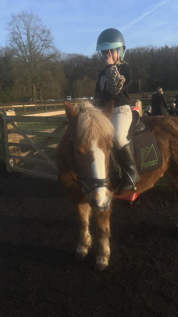 Verzorg pony gezocht!, Ophalen of Verzenden, Zo goed als nieuw