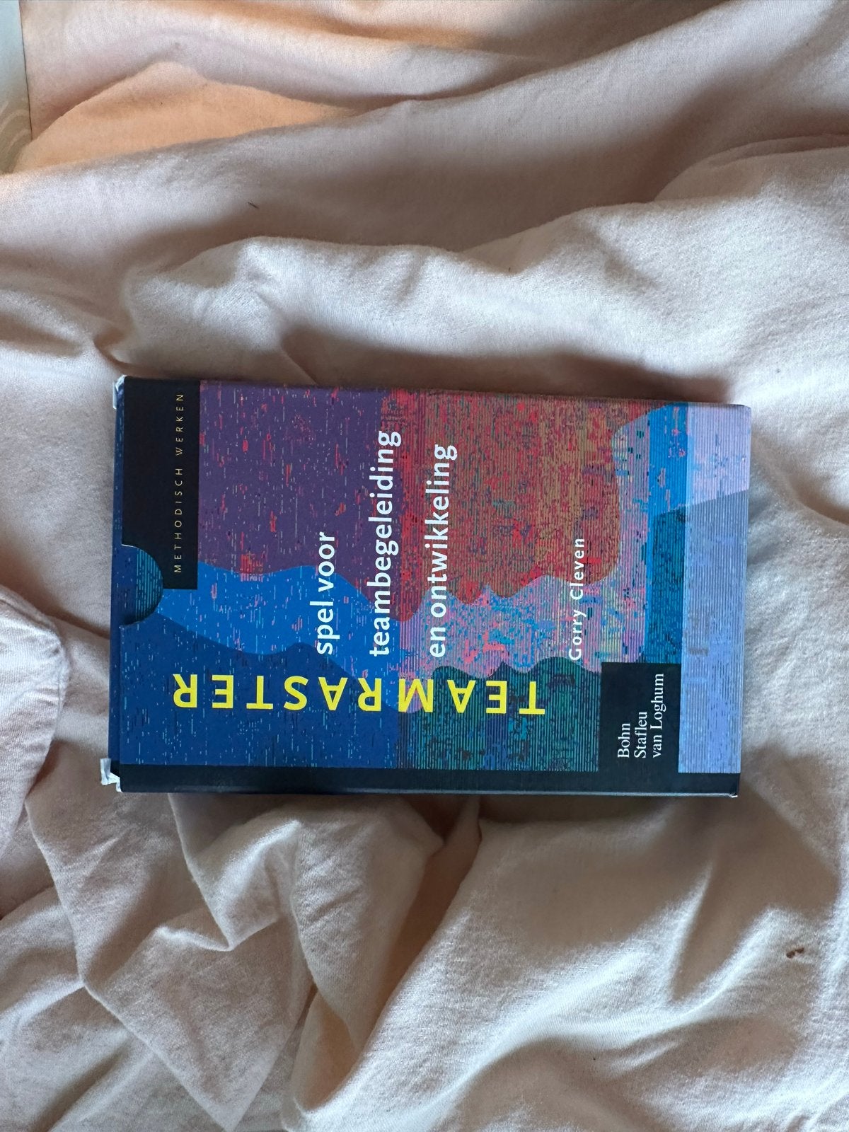 TEAMRASTER: Spel voor teambegeleiding en ontwikkeling, Ophalen of Verzenden, Gamma, Zo goed als nieuw, Overige niveaus