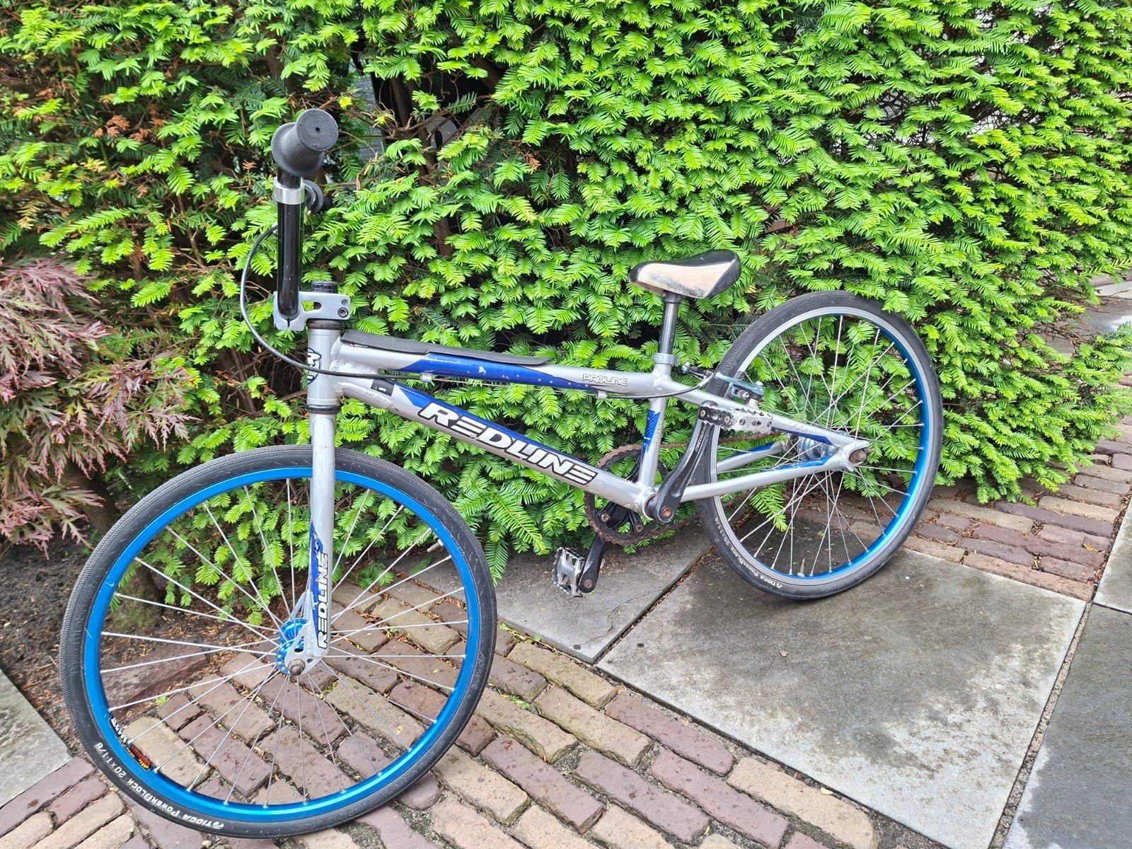 Crossfiets Redline 20 inch, Fietsen en Brommers, Fietsen | Crossfietsen en BMX, Ophalen, Gebruikt, Staal
