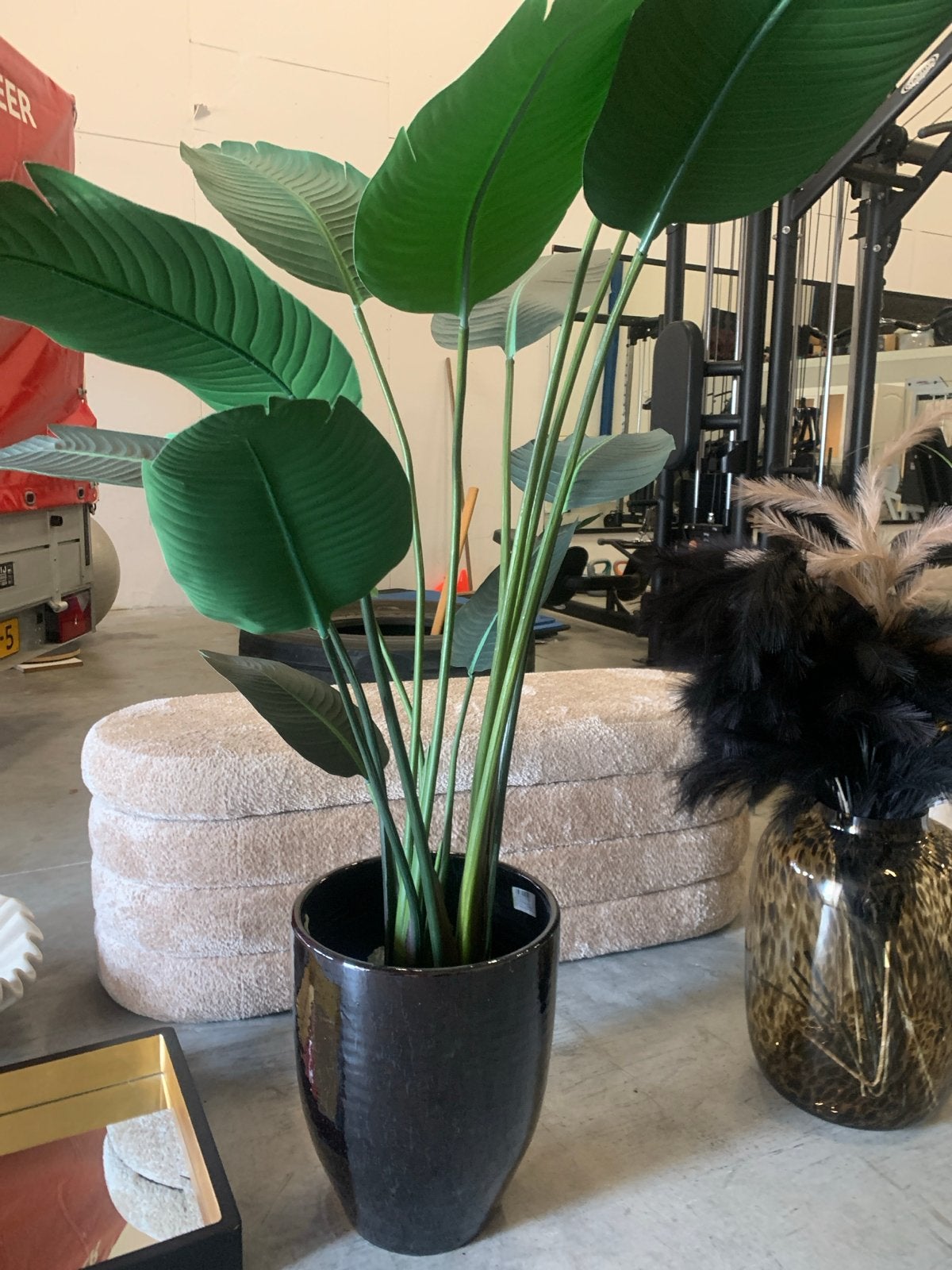 Prachtige vaas met kunst strelitzia - Eyecatcher, Ophalen, Zwart, Inclusief decoratie, Zo goed als nieuw