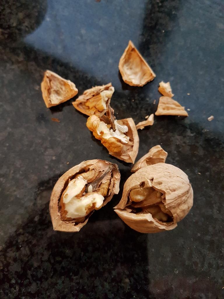 walnoten biologisch ALLERLAATSTE KILO'S 6 kilo beschikbaar, Ophalen