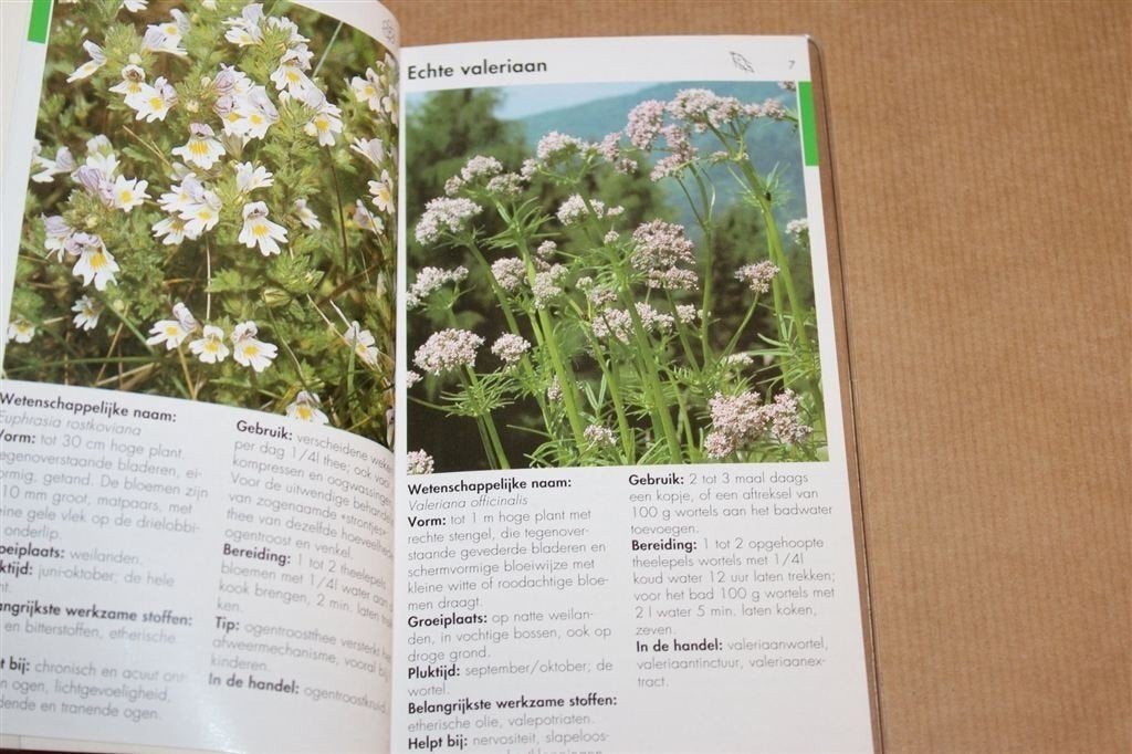 Geneeskrachtige Planten — Kruidengeneeskunde Gids, Boeken, Verzenden, Gelezen, Kruiden en Alternatief