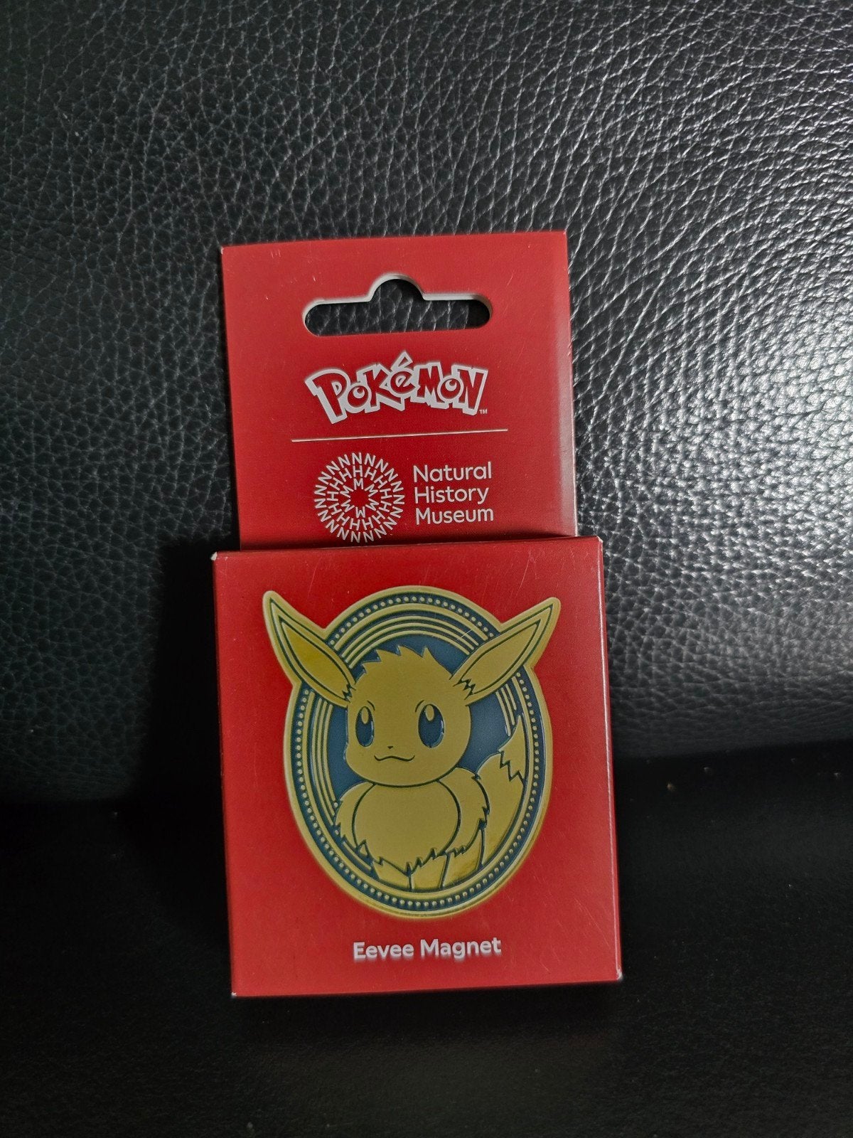 Pokémon  Natural History Museum: Eevee Magnet, Ophalen of Verzenden
