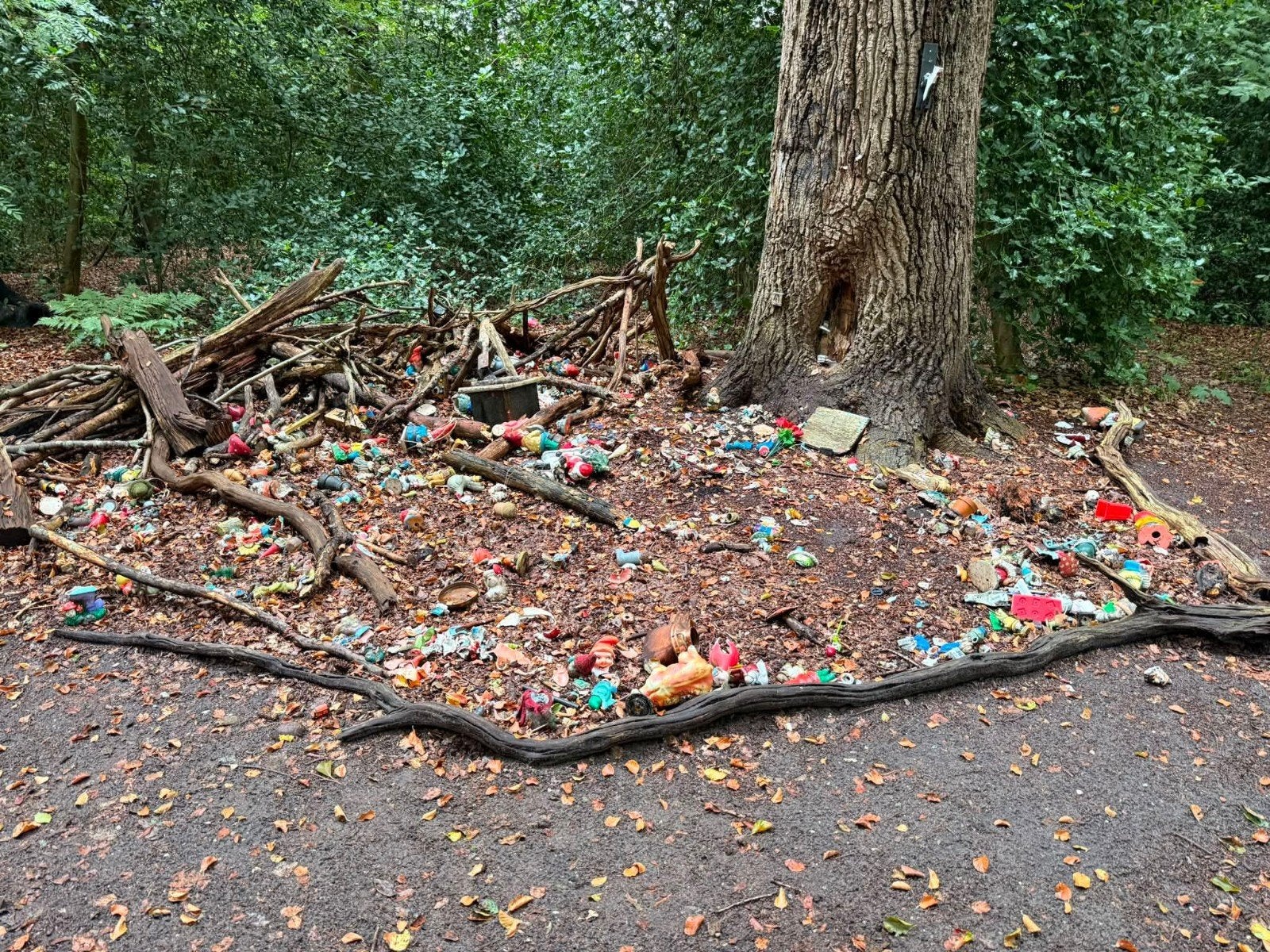 Oproep: Help het kabouterbos in Warmond herstellen!, Verzamelen, Ophalen, Gebruikt