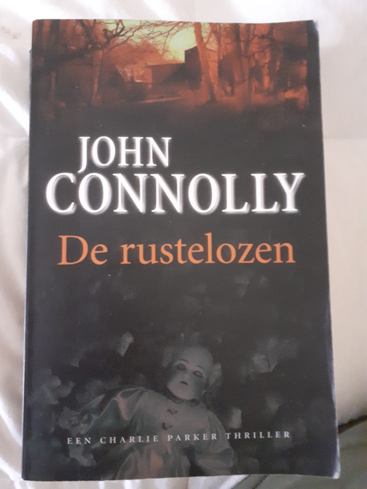 De rusteloze, Ophalen of Verzenden, Gelezen