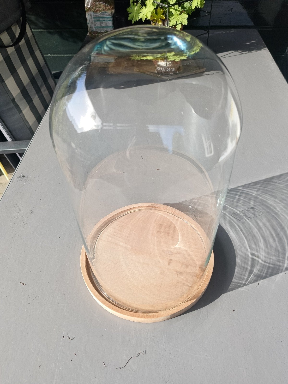 Glazen stolp met houten onderzetter, Ophalen of Verzenden, Gebruikt, Glas, Modern