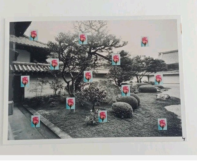 Jean Ruiter The Kyoto Zen Garden Project 9 originele foto's, Ophalen of Verzenden