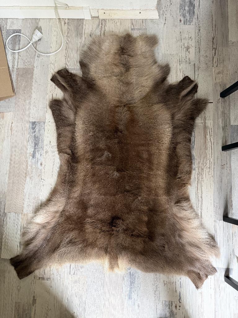 Noorse rendierhuid - Granberg Garveri Norway, 100 tot 150 cm, Nieuw, Bruin, Rechthoekig