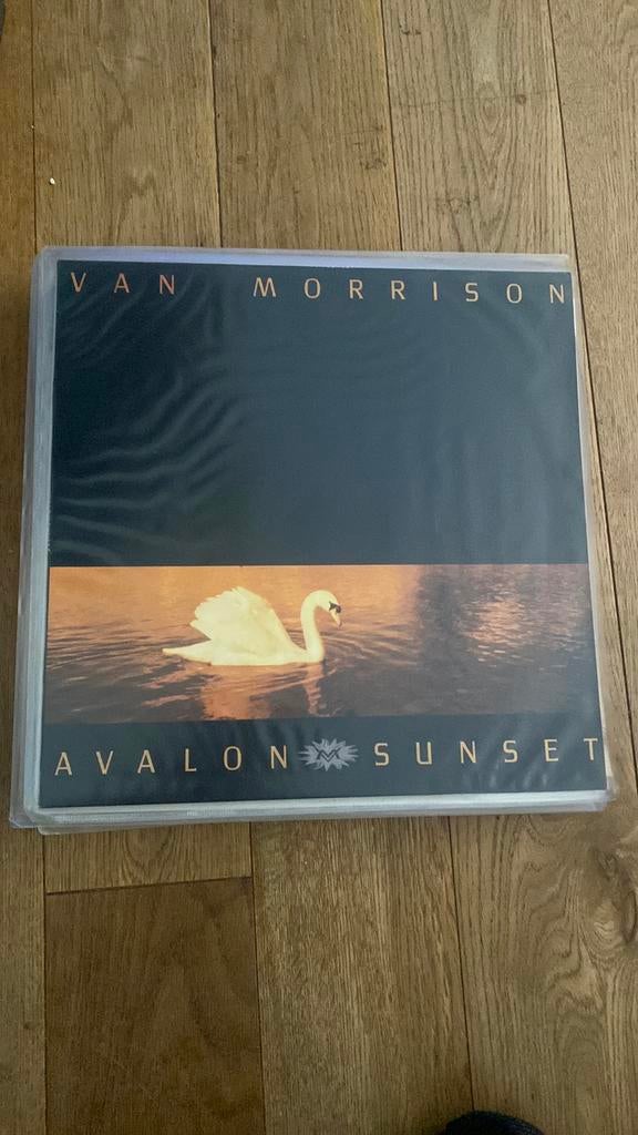 Lp van morrison, avalon sunset, Ophalen of Verzenden, Zo goed als nieuw, Overige formaten, Poprock