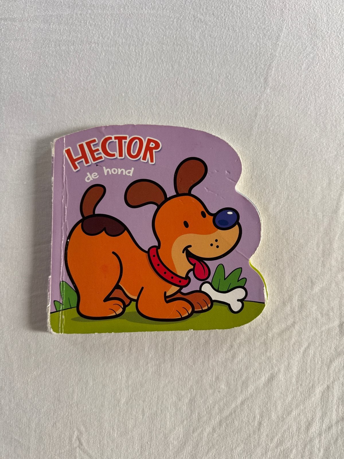 Hector de Hond - Leuk kartonboekje voor kleintjes, Boeken, Fictie algemeen, Jongen of Meisje, Ophalen of Verzenden, Zo goed als nieuw