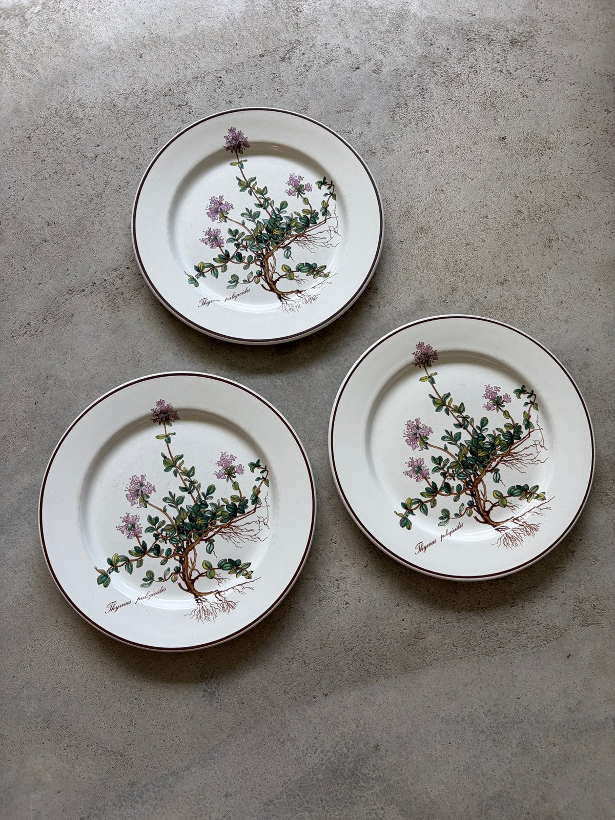 3 Villeroy & Boch Botanica ontbijtborden Thymus pulegioides, Ophalen of Verzenden, Zo goed als nieuw, Bord(en), Overige stijlen
