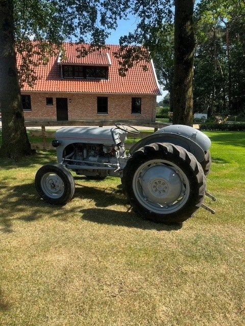Massey Ferguson (MF) TED 20, Meer dan 10000, Oldtimer, Tot 80 Pk, Ophalen