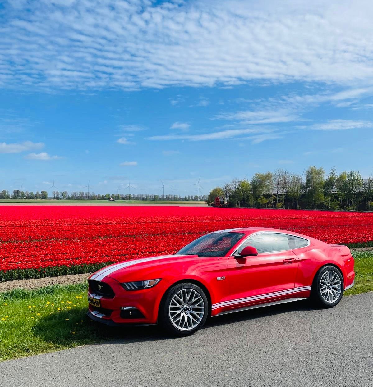 Ford Mustang 5.0 GT Fastback AUT 2016 87000 kmRood, Auto's, Automaat, Achterwielaandrijving, 8 cilinders, Particulier