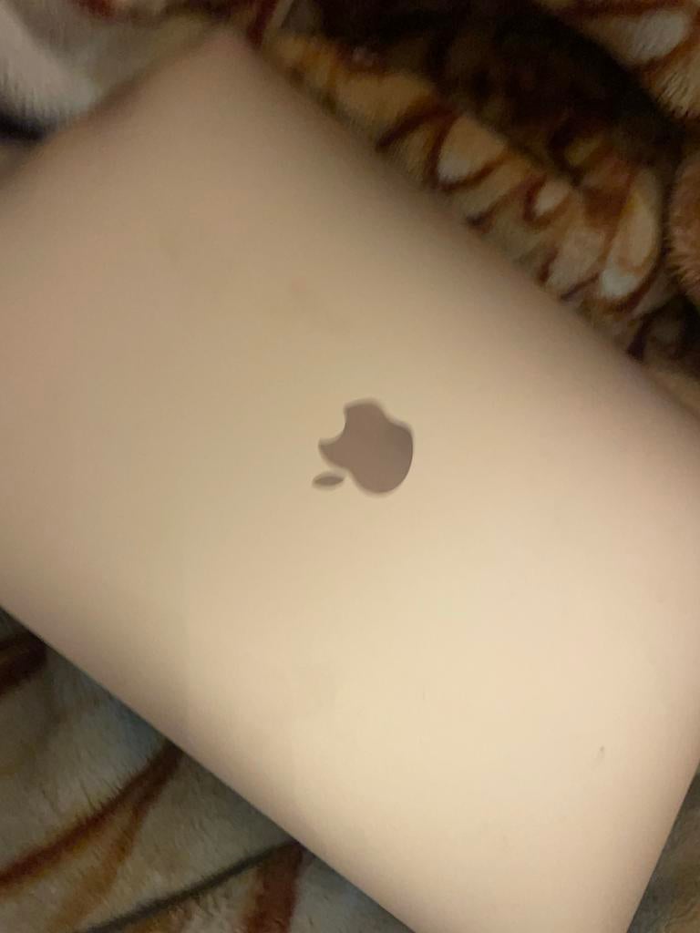 MacBook Air 2019 met kapot scherm (Retina, 13-inch), MacBook Pro, Gebruikt, 256 GB, 15 inch