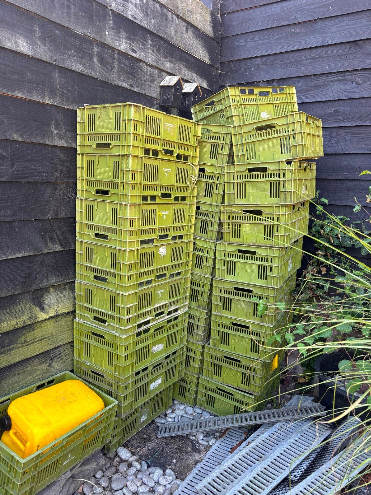 Partij groene kratten 26 stuks, Ophalen, Krat, Minder dan 35 cm