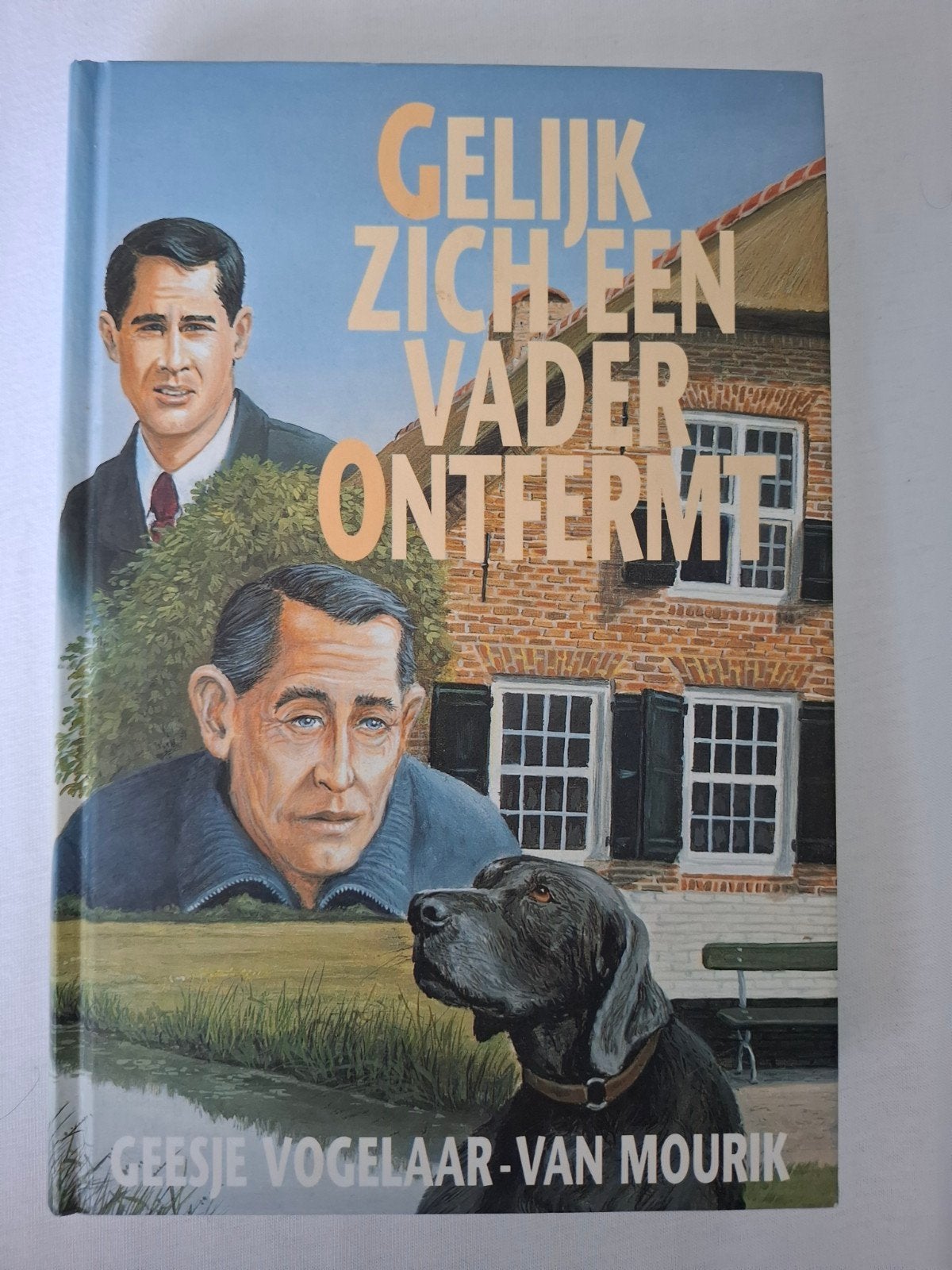 Geesje Vogelaar-van Mourik - Gelijk zich een vader ontfermt, Geesje Vogelaar-van Mourik, Noord-Brabant, Ophalen of Verzenden, Zo goed als nieuw