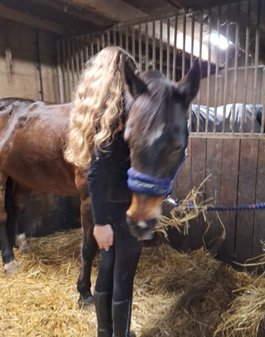 bijrijd/Verzorgpony/paard gezocht!!!, Dieren en Toebehoren, Paarden en Pony's | Verzorgingsproducten, Overige merken, Ophalen of Verzenden