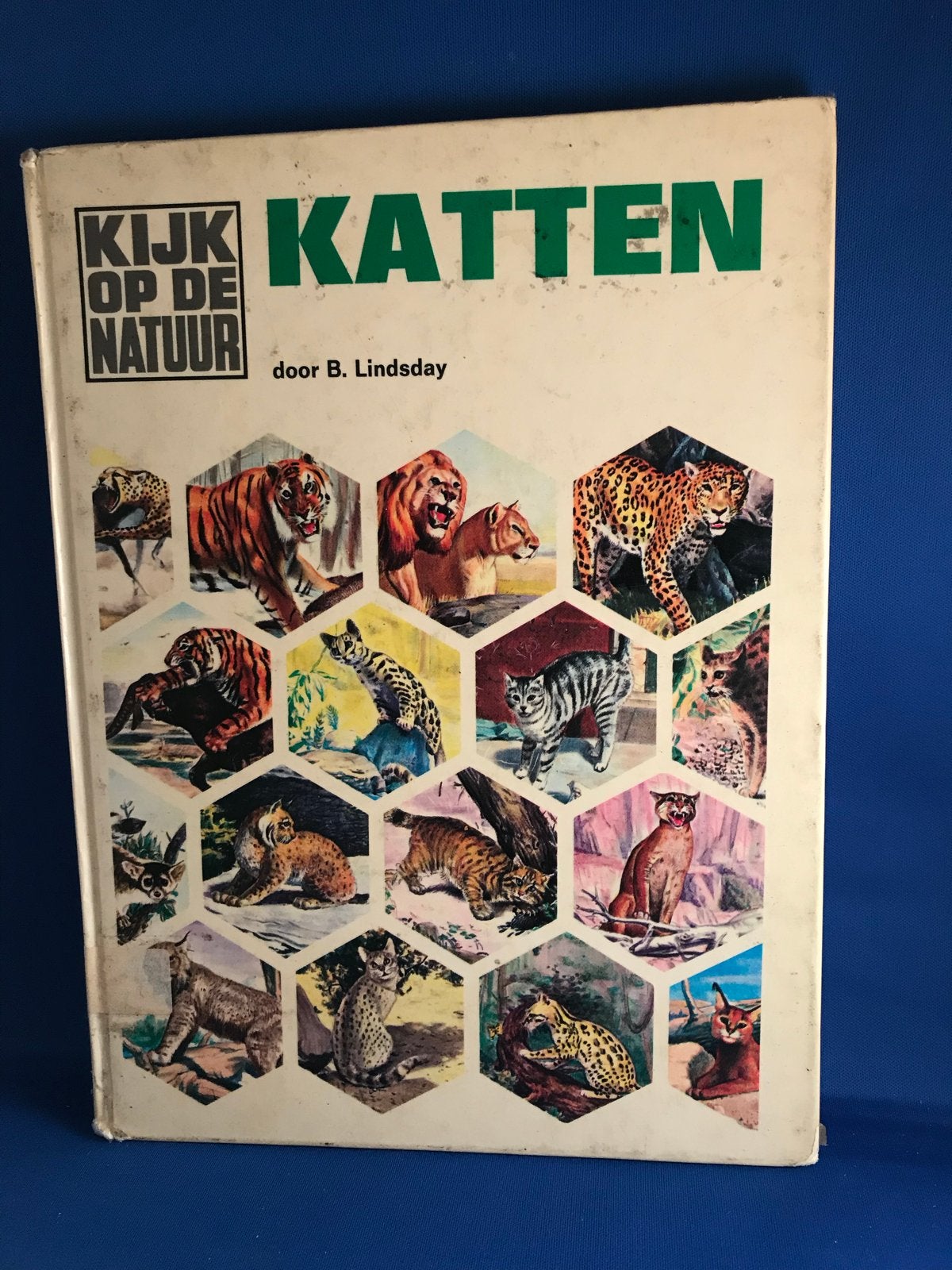 Kijk op de Natuur: Katten - door B. Lindsday, Ophalen, Gelezen, Katten