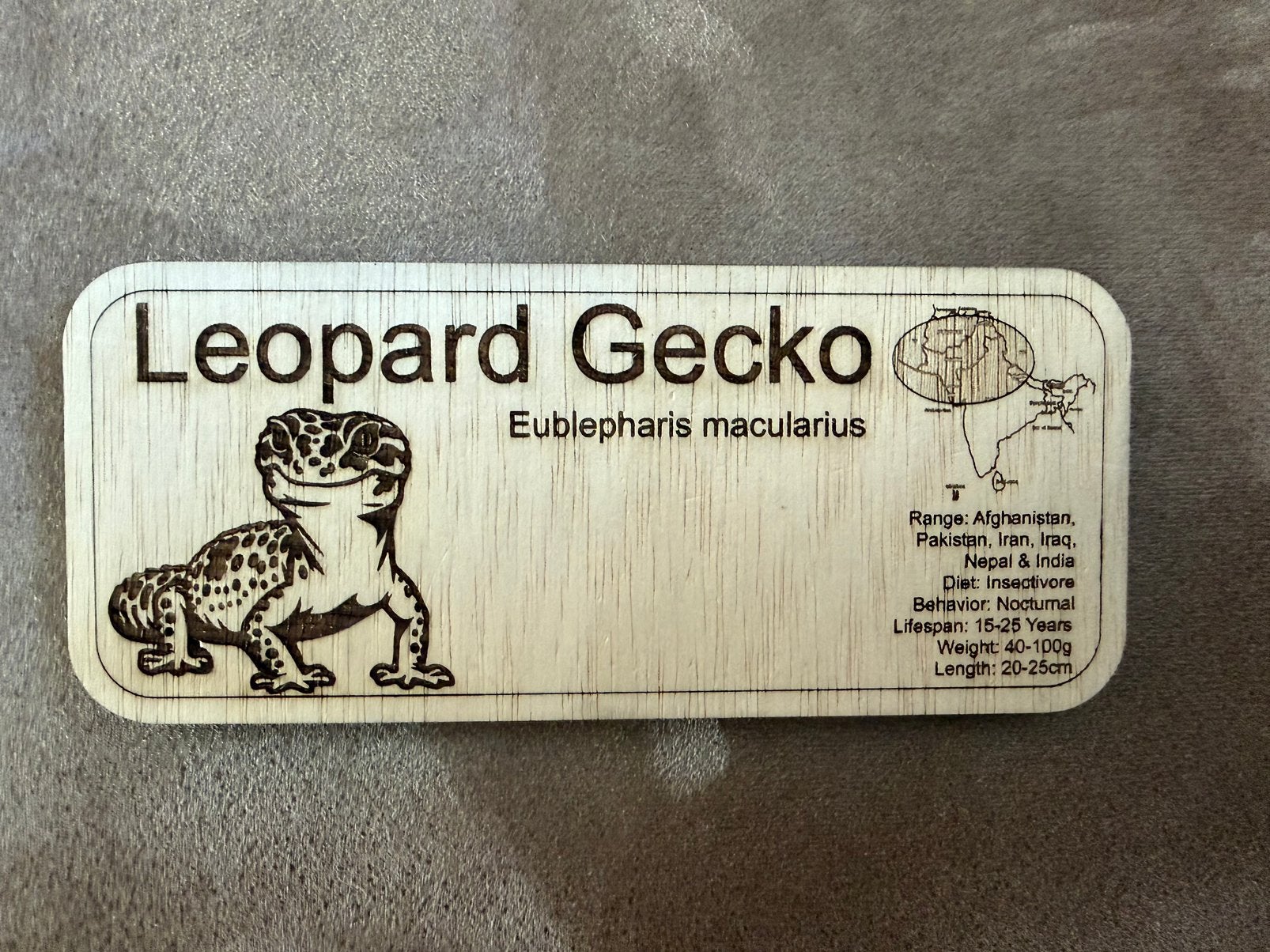 Luipaard Gekko bordje, Ophalen of Verzenden