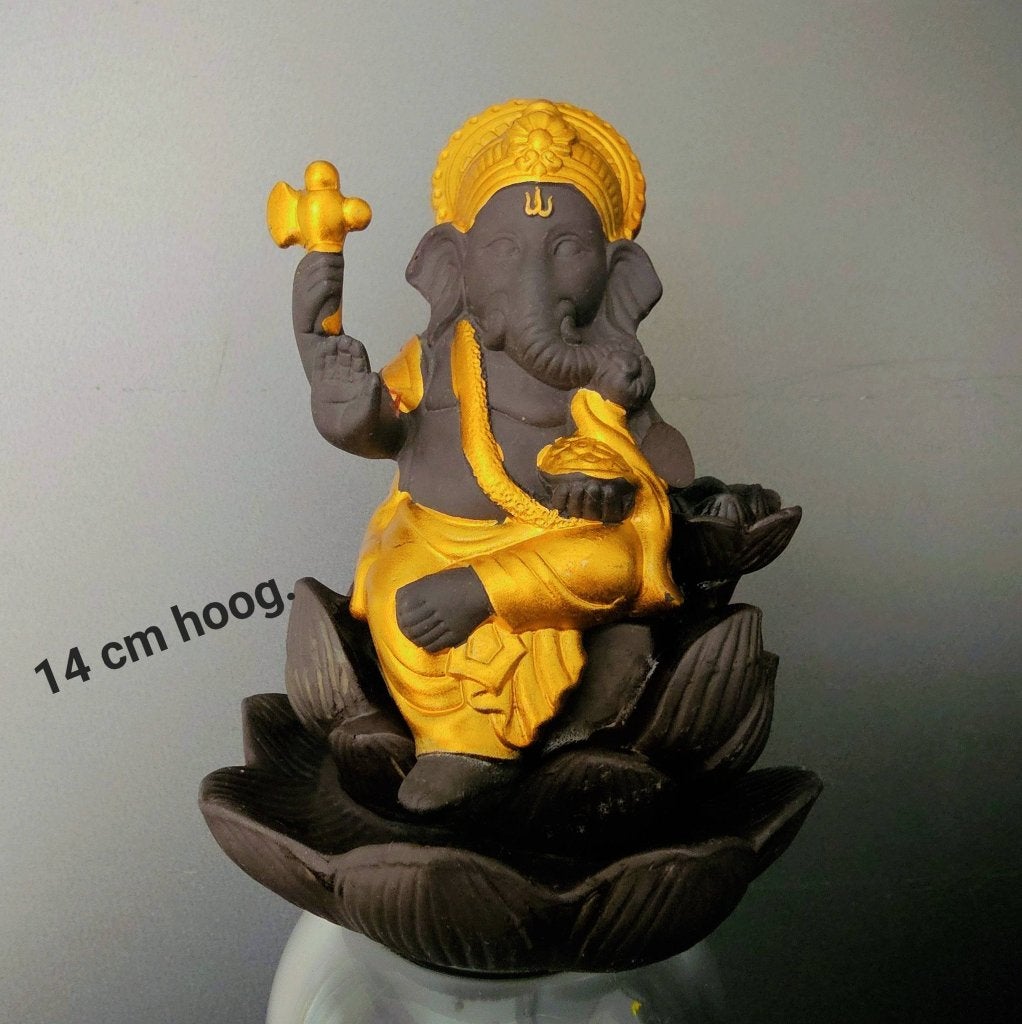 Beeldje ganesha., Ophalen of Verzenden, Zo goed als nieuw, Mens