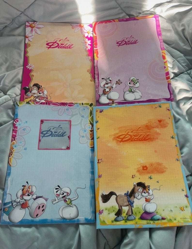4 A4 blaadjes, Verzamelen, Ophalen, Diddl, Zo goed als nieuw, Papier, Kaart of Schrift
