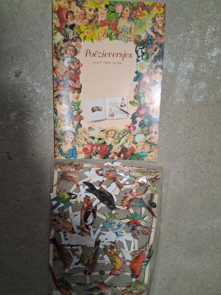 Poëzieversjes boek met bijbehorende plaatjes, Ophalen of Verzenden, Gelezen, Carry W. Zijlstra-Van Dijk, Eén auteur