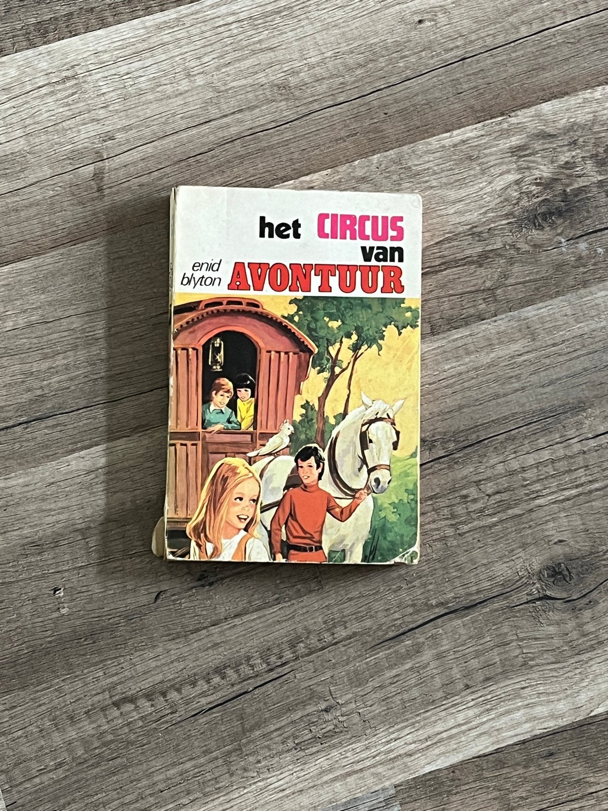 Het Circus van Avontuur - Enid Blyton, Boeken, Ophalen of Verzenden, Gelezen