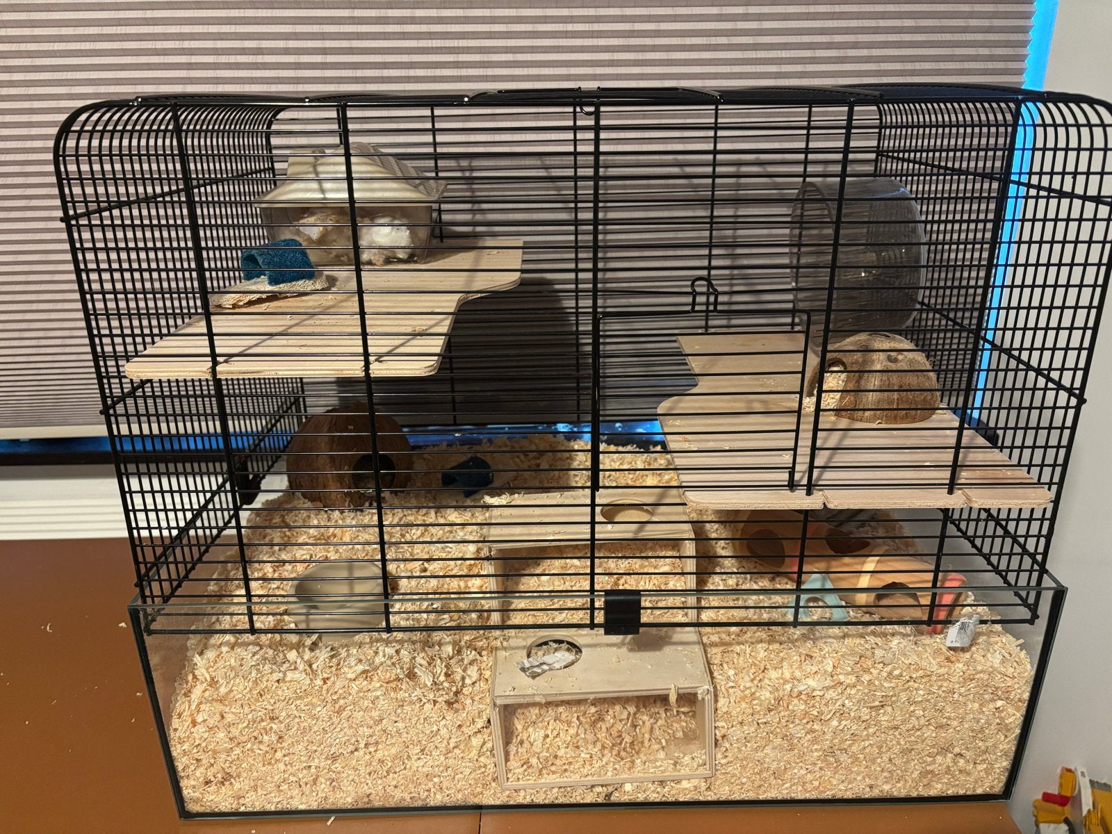 Hamster+hok en accessoires, Minder dan 75 cm, Zo goed als nieuw, Ophalen, Minder dan 60 cm