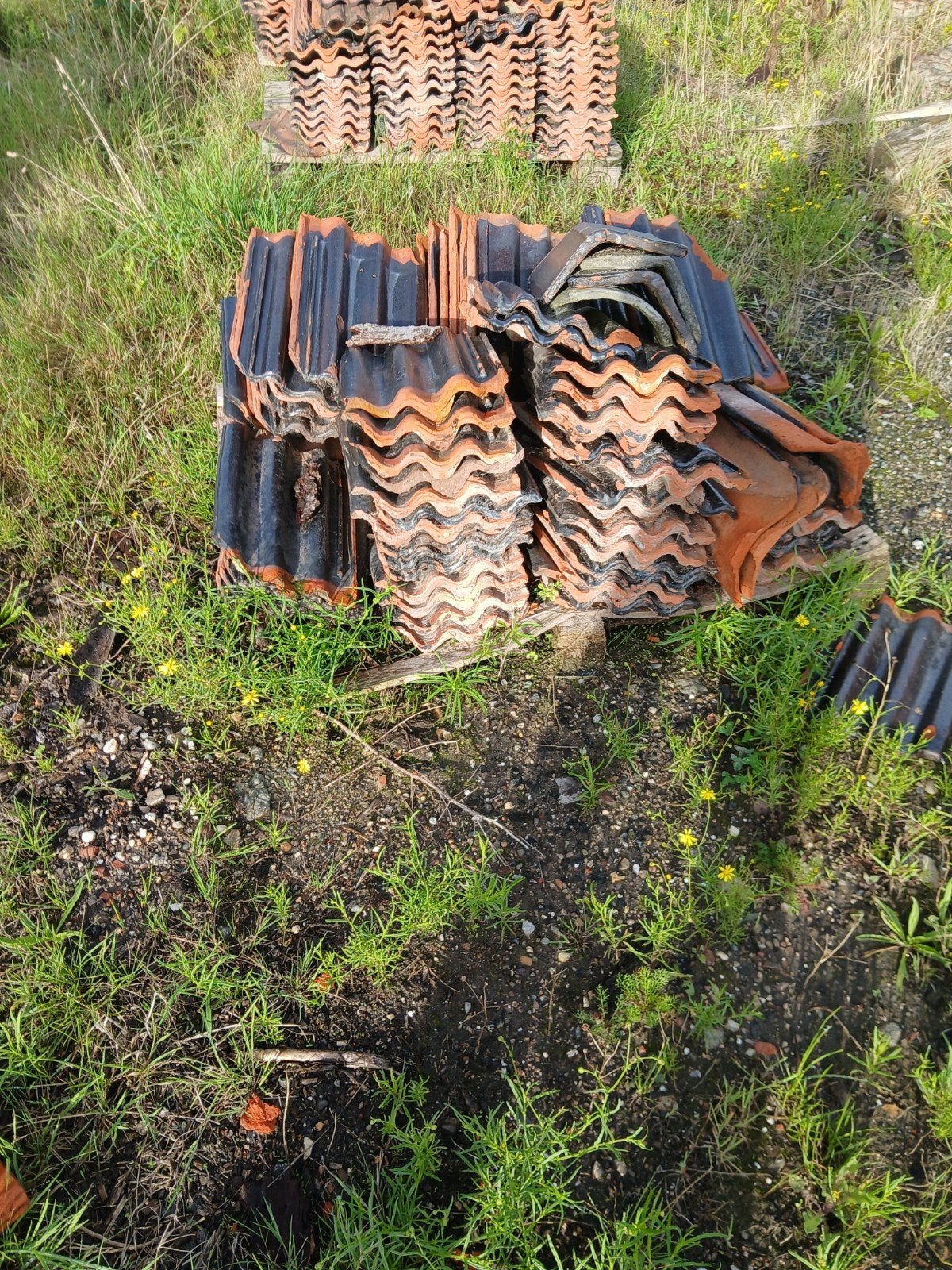 Gebruikte dakpannen - diverse kleuren en maten, Ophalen, Gebruikt, Steen of Klei, 15 m² of meer
