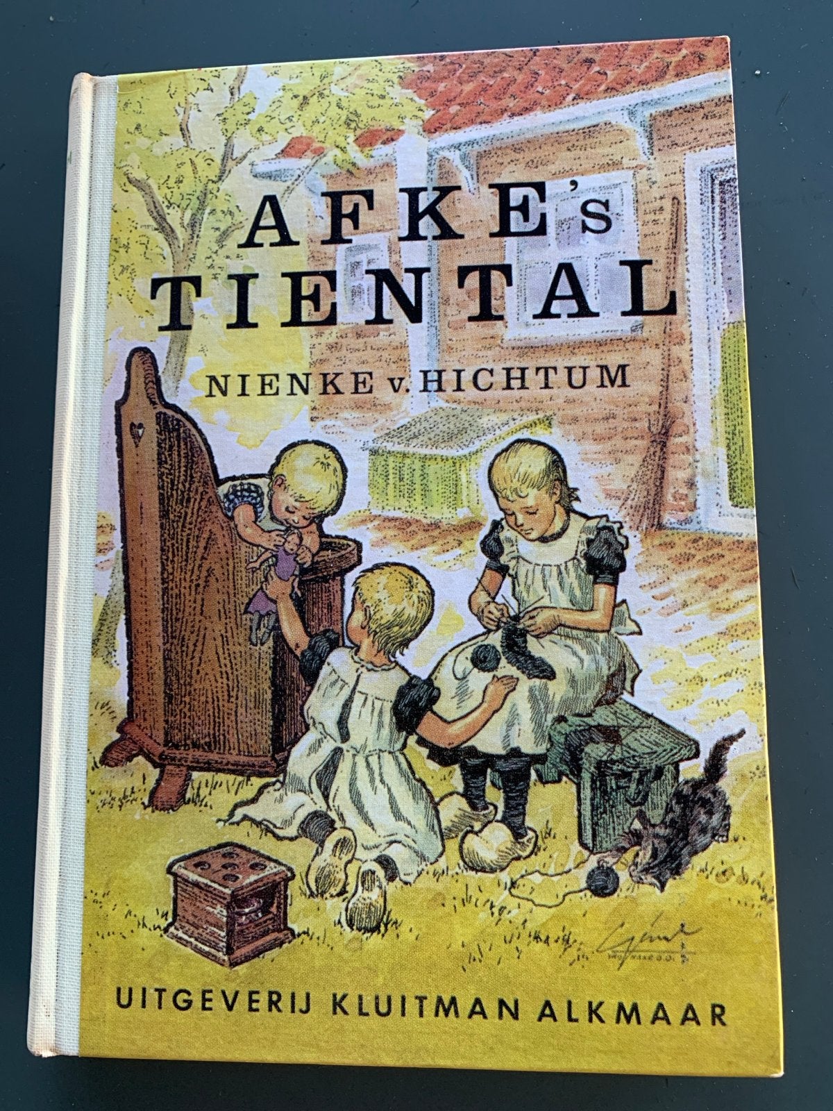 Afke's Tiental - Nienke van Hichtum (Uitgeverij Kluitman), Ophalen of Verzenden, Gelezen, Fictie algemeen