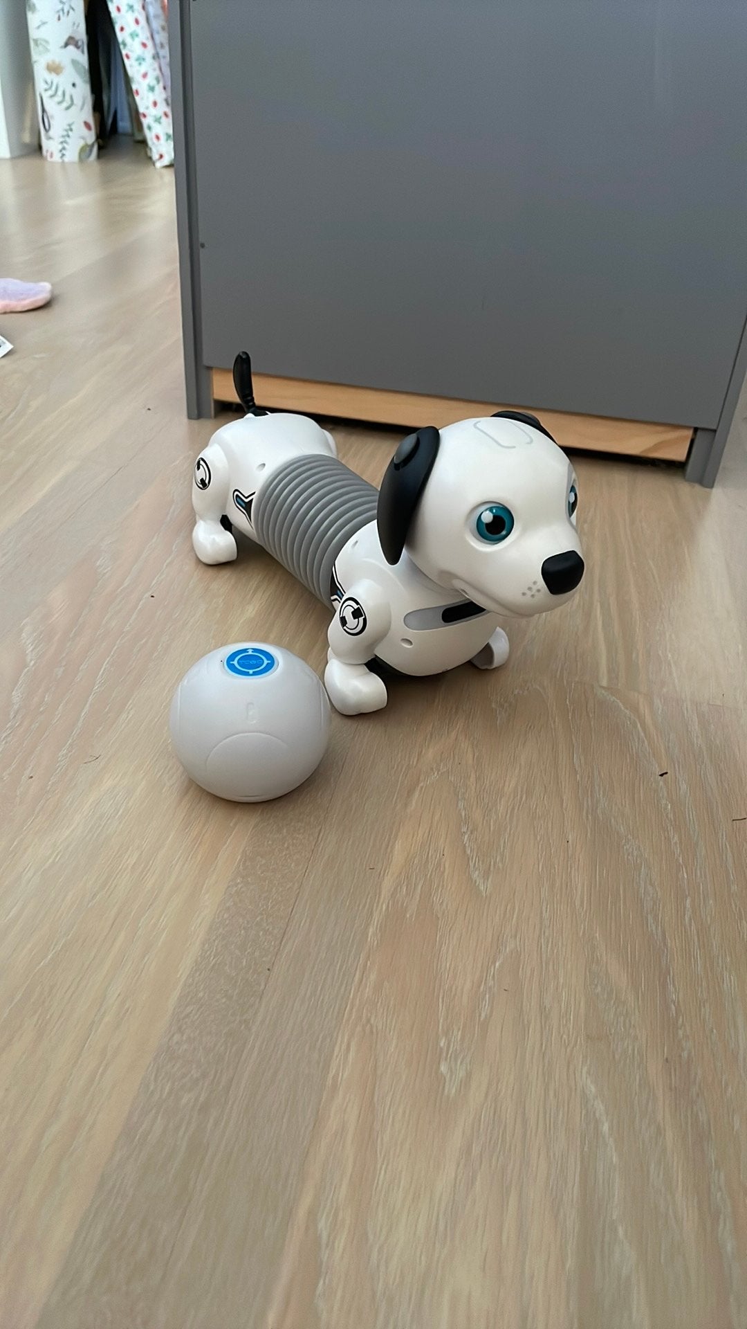 Robothond met meerdere functies, Ophalen, Overige typen