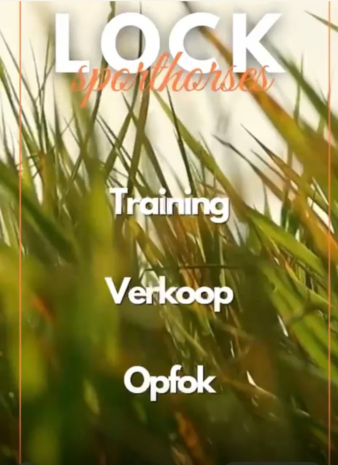 Vakantie stalling, Weidegang
