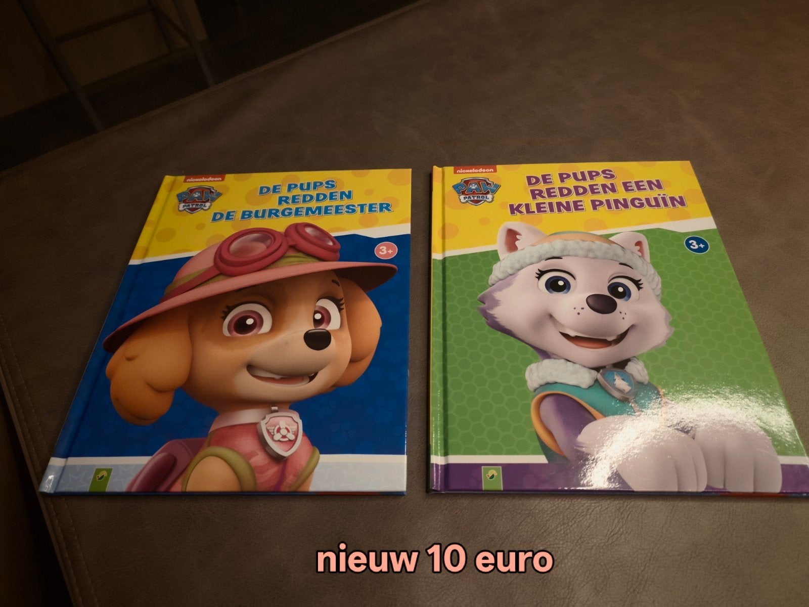 Paw Patrol Boeken - Nieuwstaat, Ophalen of Verzenden, Nieuw, Nickelodeon, Fictie algemeen
