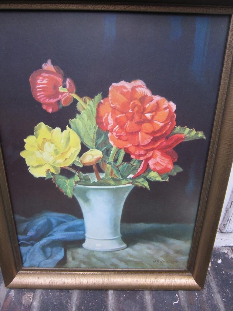 D.L. WENDLBERGER, Pracht schild Begonia's in vaasMooie lijst, Antiek en Kunst, Ophalen