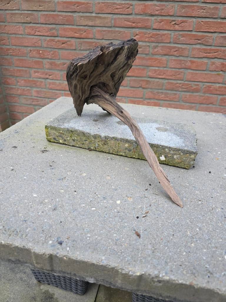 Aquarium hout, Ophalen of Verzenden, Plant(en), Steen of Hout