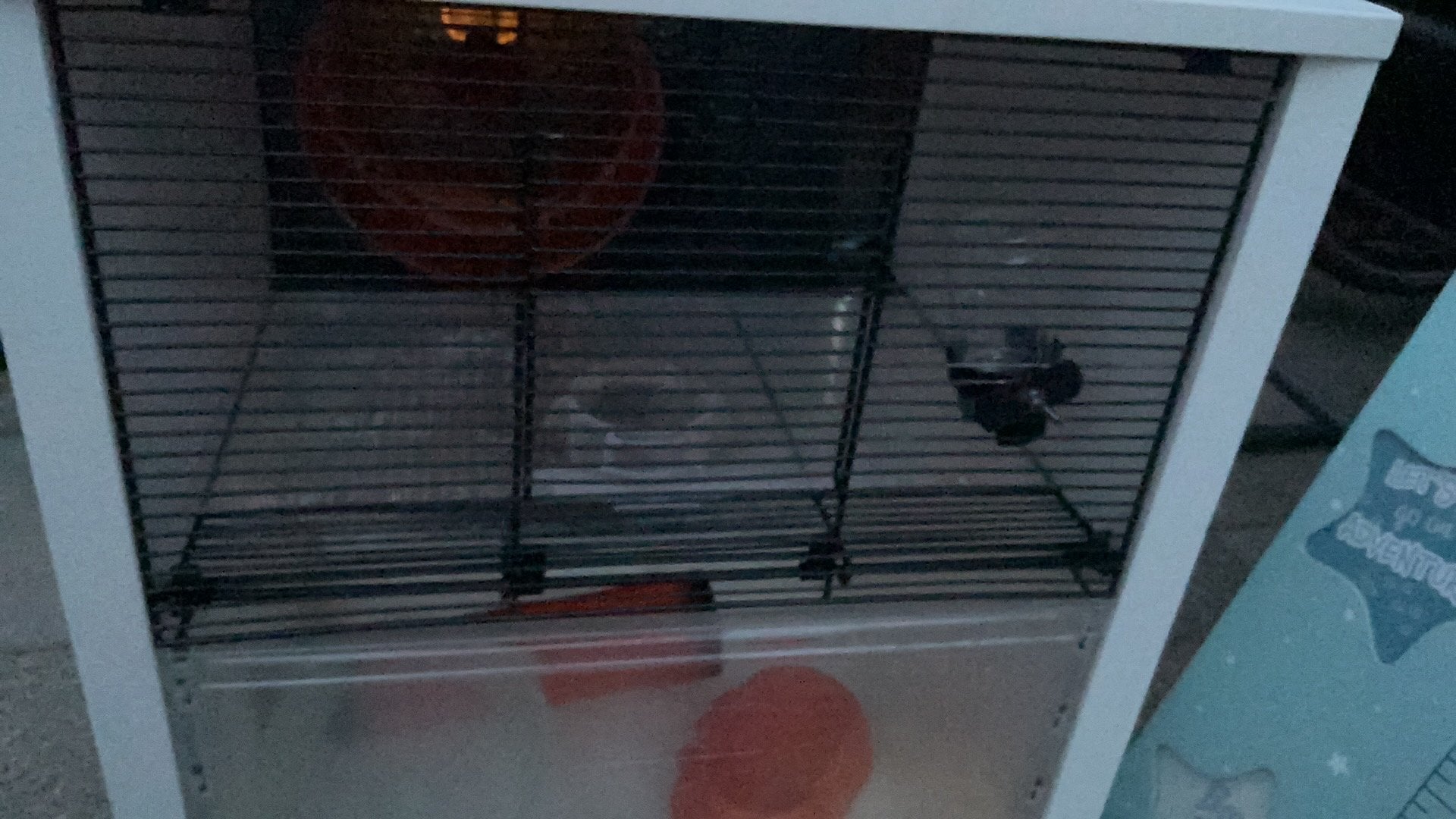 Hamsterkooi, Kooi, Minder dan 75 cm, Zo goed als nieuw, Ophalen