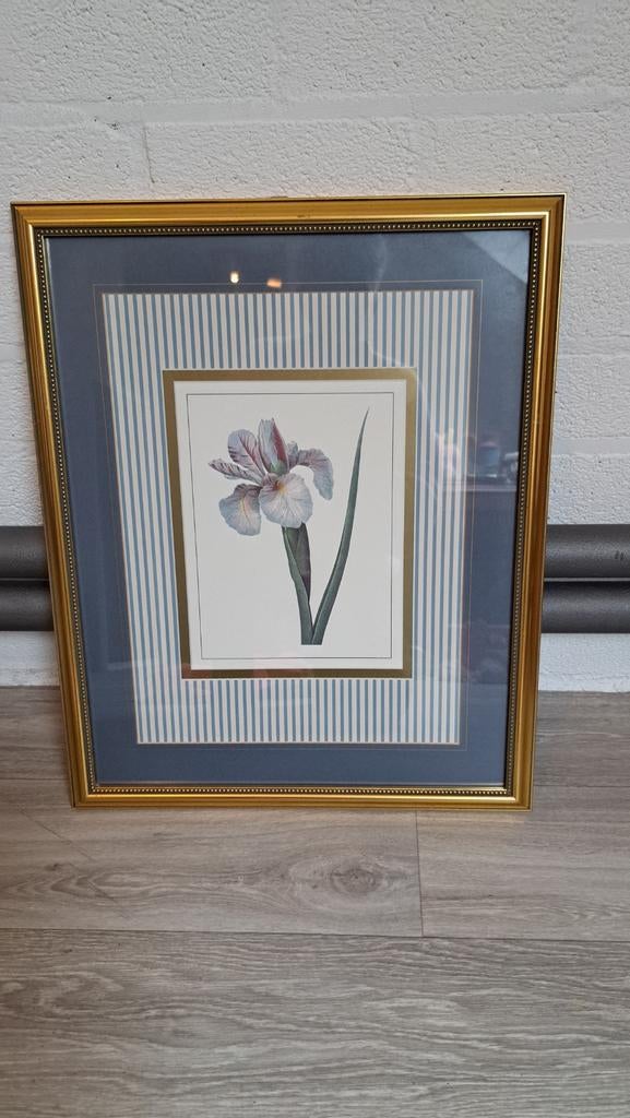 Schilderij met bloem print., Huis en Inrichting, Woonaccessoires | Lijsten, Zo goed als nieuw, Hout, Ophalen