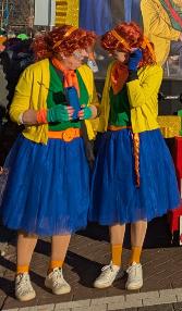 rock en roll rok, Maat 38/40 (M), Carnaval, Ophalen of Verzenden, Zo goed als nieuw