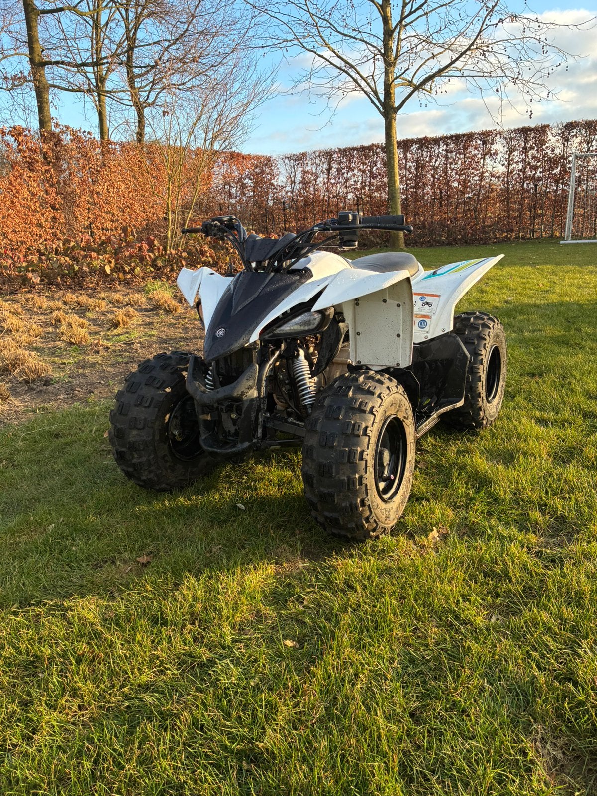 Yamaha YFZ 50cc, Fietsen en Brommers, Ophalen, Zo goed als nieuw, Overige typen