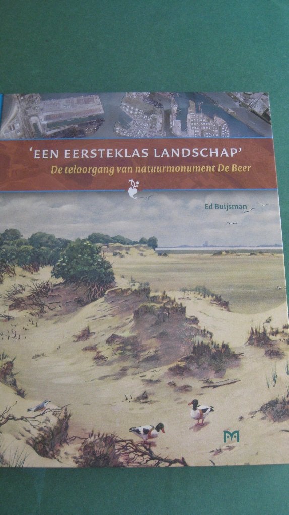 Een eersteklas landschap (De Beer), Ophalen of Verzenden, 20e eeuw of later, Zo goed als nieuw