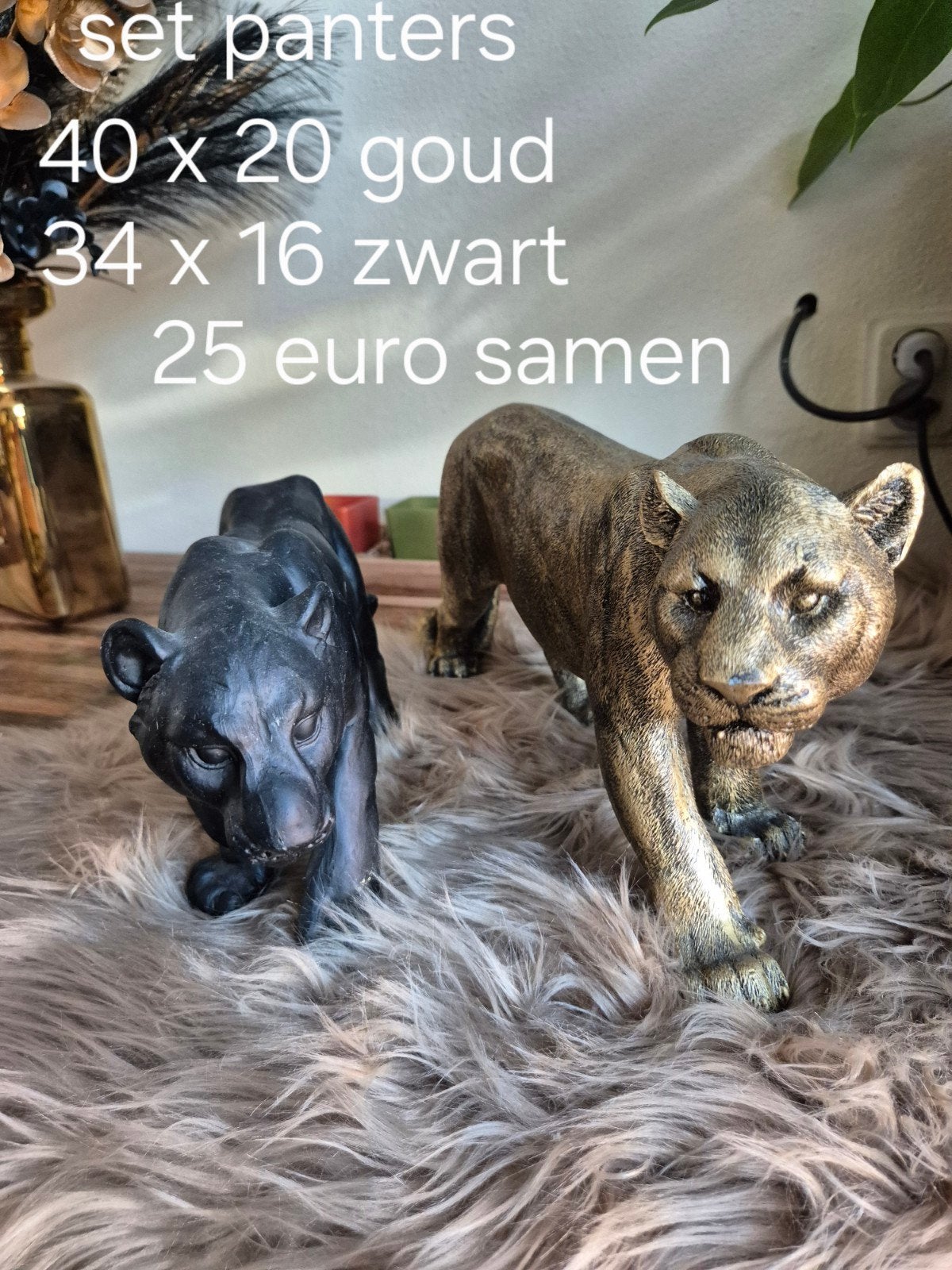 Set panters, Ophalen