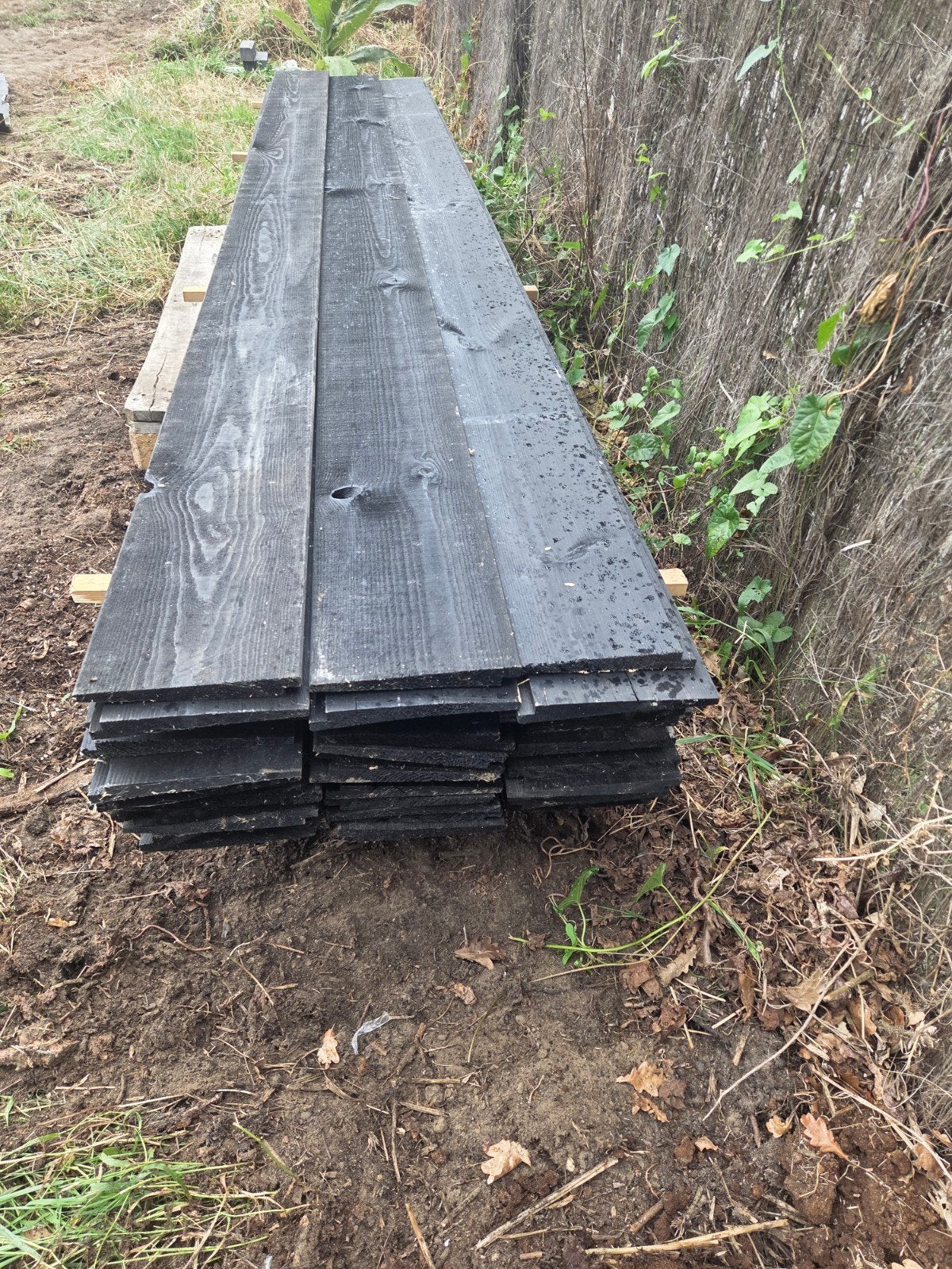 Zweeds Rabat Douglas (Gespoten) 11-22x315mm , Ophalen, Nieuw, 250 cm of meer, Planken