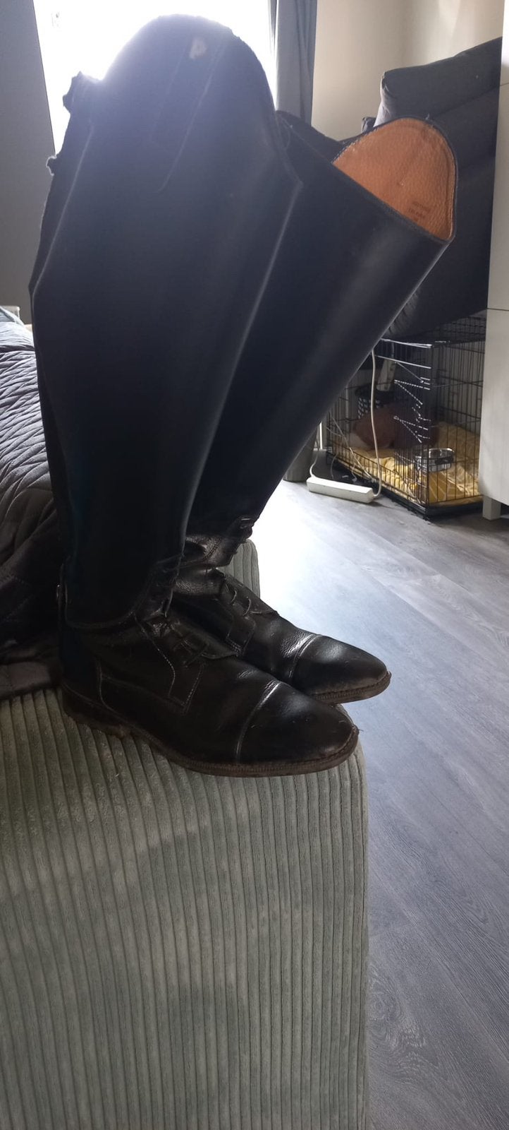 Petrie rijlaarzen., Ophalen of Verzenden, Zo goed als nieuw, Dressuur, Schoeisel