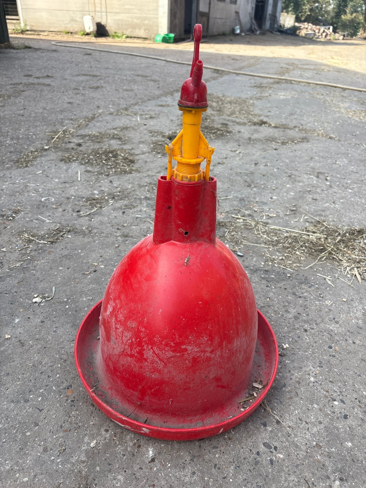Automatische klokdrinker pluimvee / kippen, Ophalen, Kippenhok of Kippenren