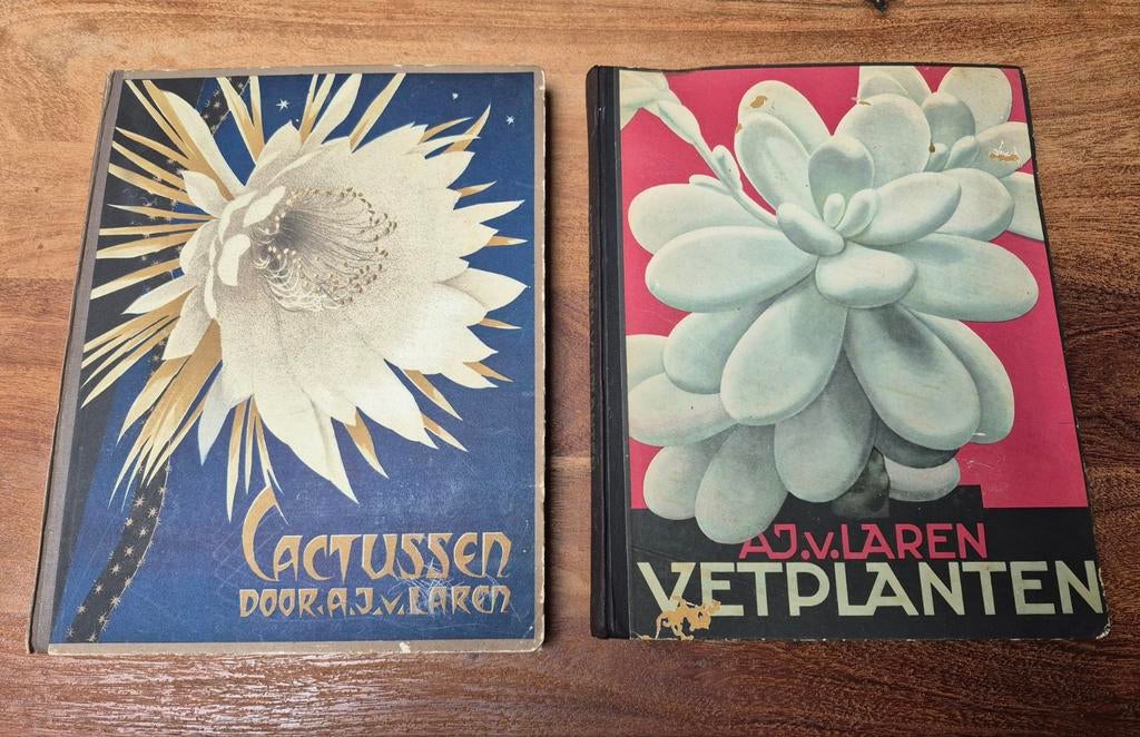 Verzamelalbums van Verkade Vetplanten Cactussen 1931 en 1932, Boeken, Ophalen of Verzenden, Gelezen, J.a. van Laren Verkade, Plaatjesalbum